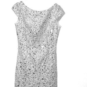 Adrianna papell dress